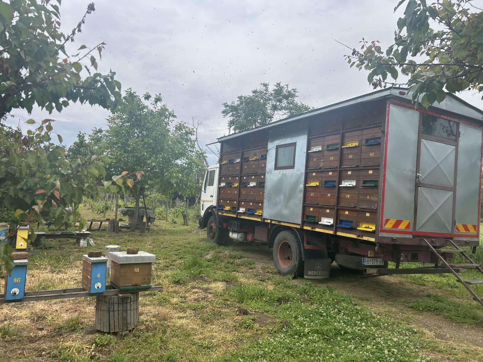 Pčelinjak